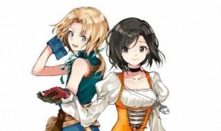 dq是什么意思 dq是什么意思