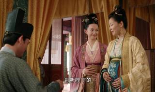 大宋宫词李婉儿结局