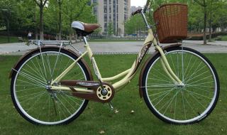 上海哪里买自行车