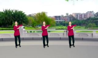 舞动青春广场舞 舞动青春广场舞