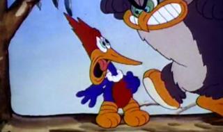 啄木鸟伍迪 啄木鸟伍迪