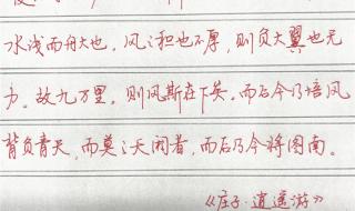 逍遥游软件 逍遥游软件