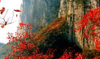 重庆旅游节 重庆旅游节