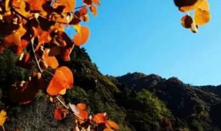 正定汽车站 正定汽车站