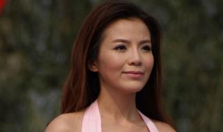 山东综艺我是大明星