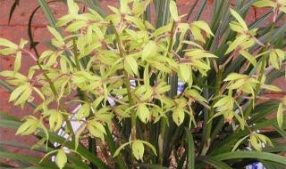 三个人三天用三桶水 三个人三天用三桶水