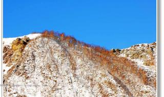 电影东北恋歌免费观看 电影东北恋歌免费观看