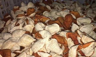 20年陈皮多少钱一斤