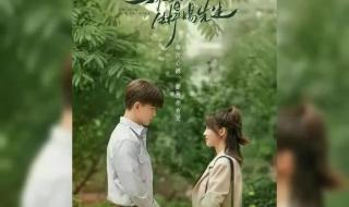 蜥蜴先生和乌鸦小姐