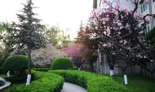 陕西能源职业技术学院 陕西能源职业技术学院